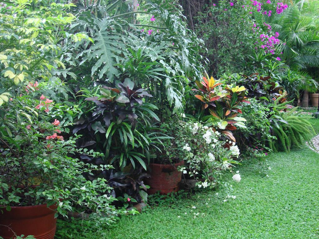 Quinta Del Gobernador Hotel Cuernavaca Exterior photo